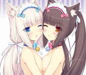 736x646