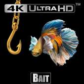 680x680