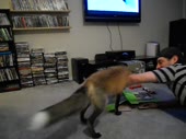 480x360
