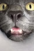 494x720