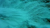 560x320