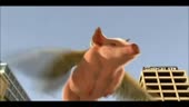 480x272