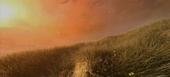 640x292