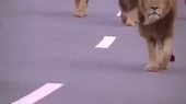 400x224