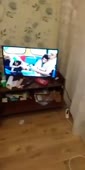 320x640