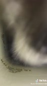 464x848