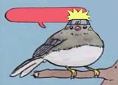 500x360