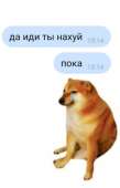 421x656