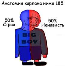 500x500