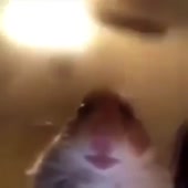 360x360