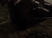 480x360