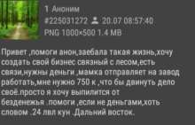 408x262