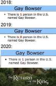 499x767