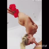 540x540