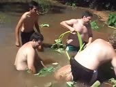 480x360