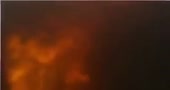 460x244