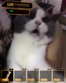 288x360