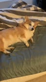 406x720