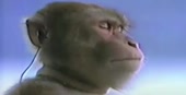 560x288