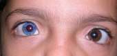 900x433