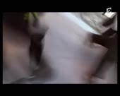 450x360