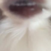 360x360