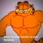 978x994