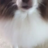 360x360