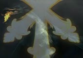 320x224