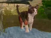480x360