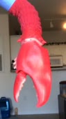 720x1280