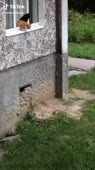 576x1024