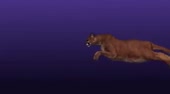 460x256