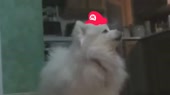 640x360