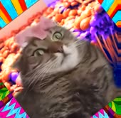 368x360