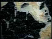 480x360