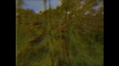 854x480