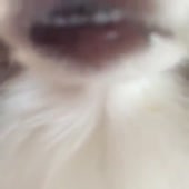 360x360