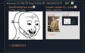 424x269