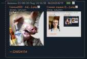 432x293