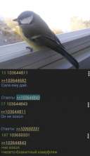 470x807