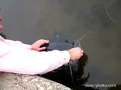 480x360