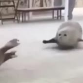 360x360