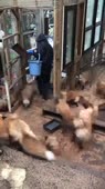 360x640