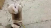 400x224