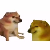 360x360