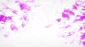 1920x1080
