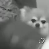 360x360