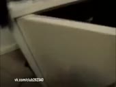 480x360