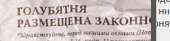 259x63